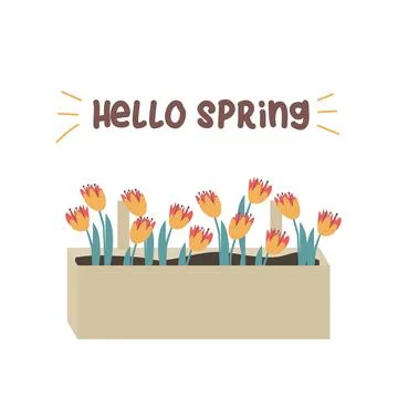 Hello spring box with flowers vector illustration Stock Illustration