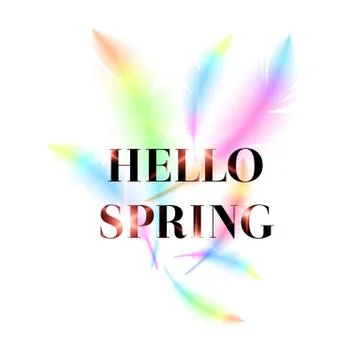 Hello Spring, bright bird feathers on a white background. Stock Illustration