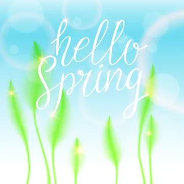 Hello Spring, bright bird feathers on a white background. Stock Illustration