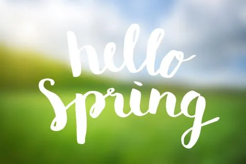 Hello spring brushed vector typography poster Illustrazione stock