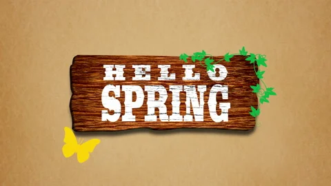Hello Spring with butterfly and green leaves on wood 動画素材 233405642