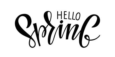 Hello Spring calligraphy lettering black isolated on white background Stock Illustration