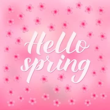 Hello spring calligraphy lettering on gradient pink background with cherry bl 스톡 일러스트