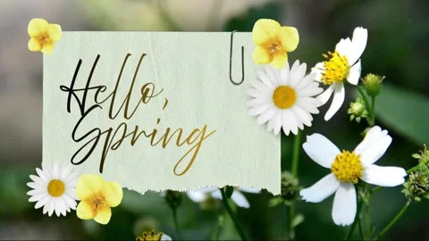 Hello Spring Calligraphy on Paper Note with Daisies and Paperclip Stock Footage 331590860
