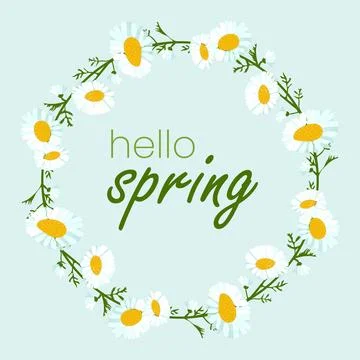 Hello spring in chamomile wreath. White flower heads, green leaves on blue Stock Illustration