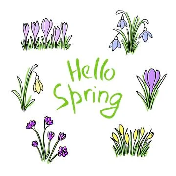 Hello Spring colored sketch set. First flowers and Lettering Stock Illustration