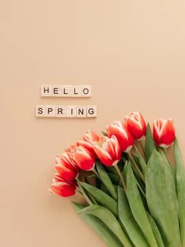 Hello spring concept. Tulip on beige background Фото