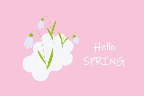 Hello Spring - cover or postcard template, snowdrop - vector illustration. 스톡 일러스트