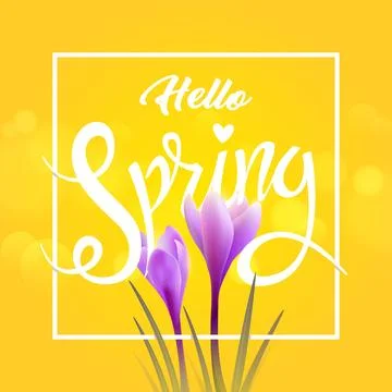 Hello spring. Crocuses Stock Illustration