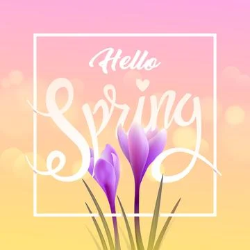 Hello spring. Crocuses Stock Illustration