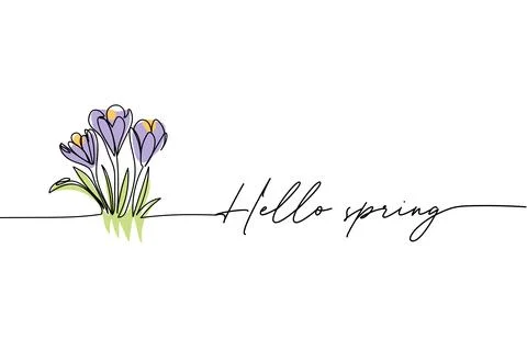 Hello spring, crocuses line art drawing, One continuous line drawing. for p.. Stock Illustration
