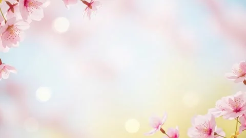 Hello Spring Floral Background with Copy Space and Welcome Greeting 4K Stock Footage 332262475