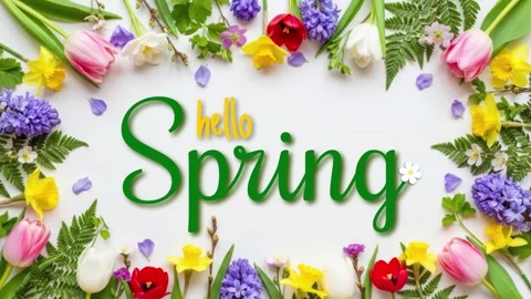 Hello Spring Floral Background with Welcome Greeting and Blooming Flowers 4K Stock Footage 332262496