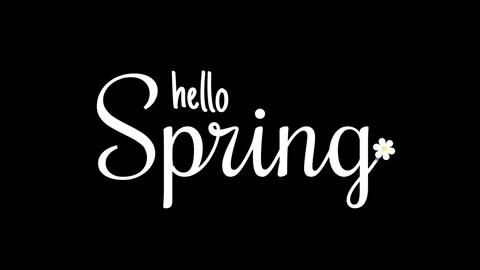 Hello Spring Floral Background with Welcome Greeting and Blooming Flowers 4K Stock Footage 332262521