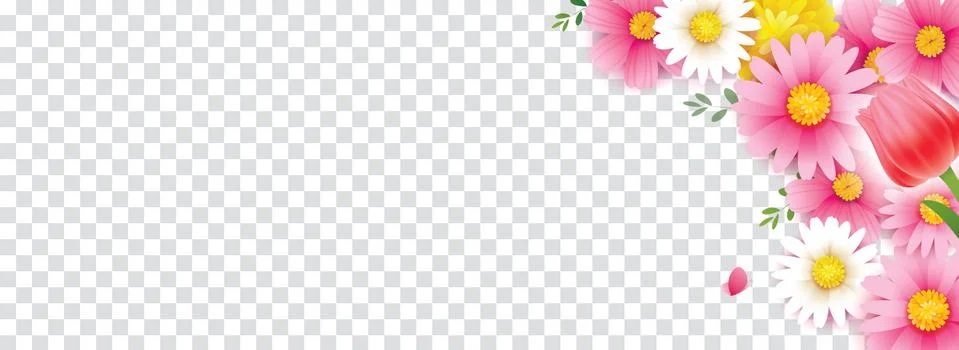 Hello spring flower frame with transparent isolated background. Use for cover Stock Illustration