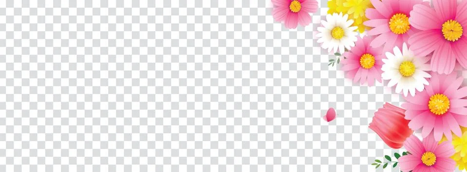 Hello spring flower frame with transparent isolated background. Use for cover Illustrazione stock
