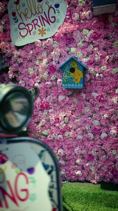 Hello Spring Stock Footage 276829760