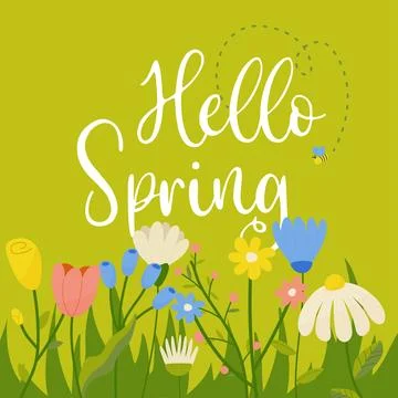 Hello spring, fresh trendy spring season lettering with flowers for greetin.. Stock Illustration