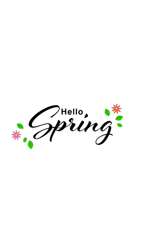 Hello Spring greeting animation with flowers. Stock Footage 331063249