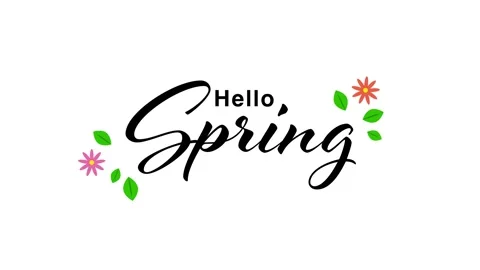 Hello Spring greeting animation with flowers. Video stock 331063252