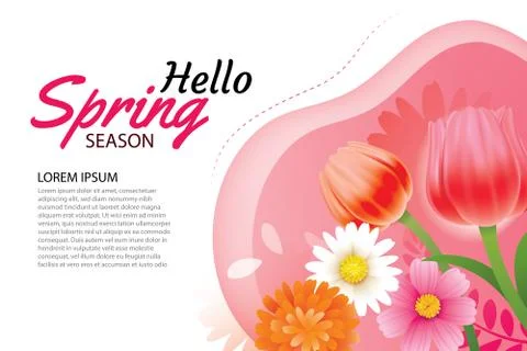Hello spring greeting card and invitation with blooming flowers background te Stock Illustration