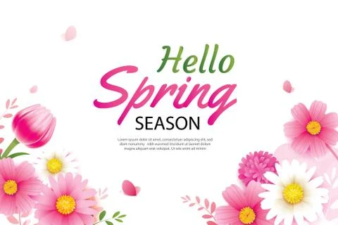 Hello spring greeting card and invitation with blooming flowers background te Stock Illustration