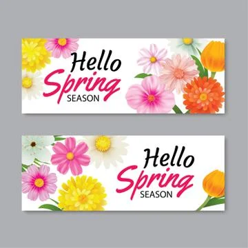 Hello spring greeting card banner template with colorful flower.Can be use vo Stock Illustration