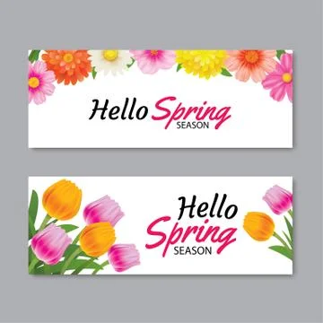 Hello spring greeting card banner template with colorful flower.Can be use vo Stock Illustration