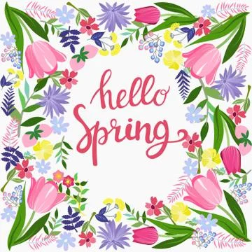 Hello Spring greeting card design with flowers and text in frame Stock Illustration