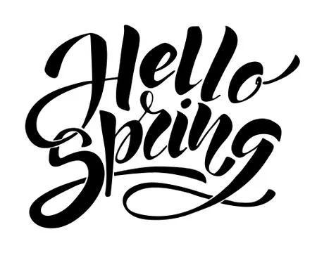 Hello Spring. Hand drawn calligraphy and brush pen lettering. design for holiday Stock Illustration