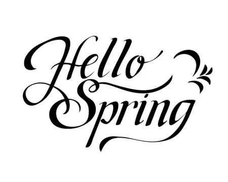 Hello Spring. Hand drawn calligraphy and brush pen lettering. design for holiday Stock Illustration