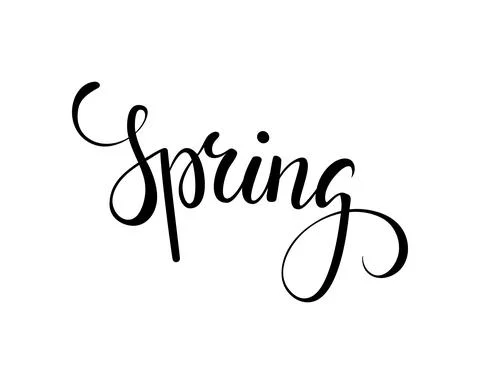 Hello Spring. Hand drawn calligraphy and brush pen lettering. Stock Illustration