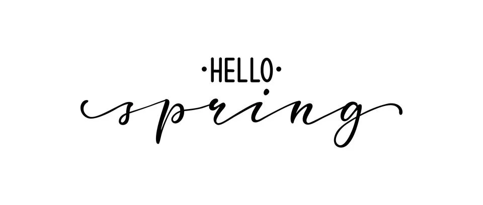 Hello spring. Hand drawn calligraphy and brush pen lettering. design for ho.. Stock Illustration