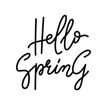 Hello Spring. Hand drawn script lettering design black on white background 스톡 일러스트