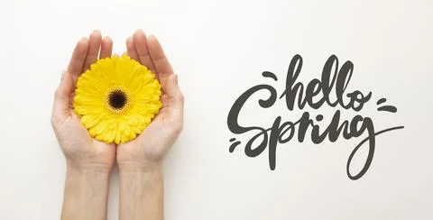 Hello spring hand with flower Stock Photos