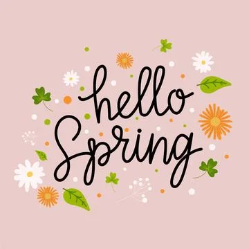 Hello Spring hand sketched logotype, badge typography icon. Lettering spring  Stock Illustration