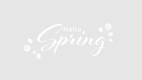 Hello Spring hand writing text animation with flowers on transparent background. Video stock 331061741