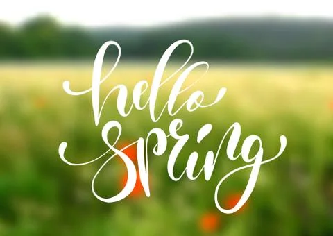 Hello spring handwriting lettering design on blurry blossom field landscape. Stock Illustration