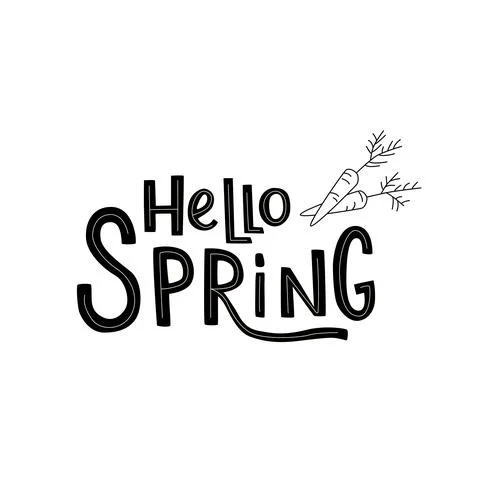 Hello spring handwritten sign with carrots. Vector stock illustration isolated Stock-Illustration