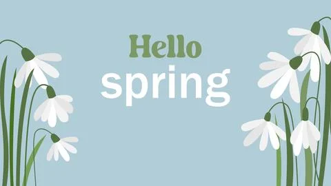 Hello Spring horizontal banner with snowdrops Ilustración de archivo