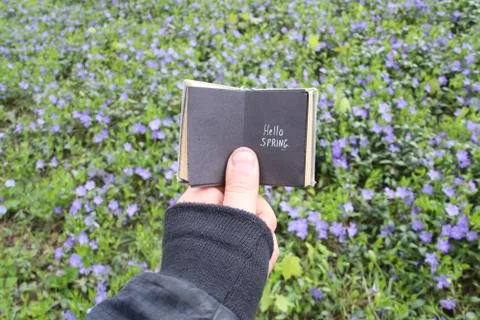 Hello spring idea, book with text and spring field with blue flowers Stock Photos