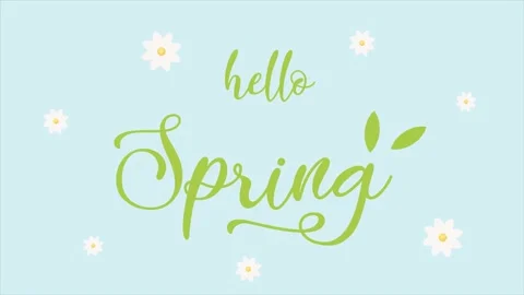 Hello Spring lettering on blue background with white daisies around. Stock Footage 150617528