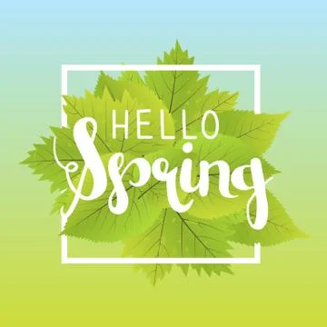 Hello spring. Lettering with hand drawn letters. Label and banner template .. Stock Illustration