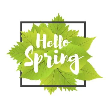 Hello spring. Lettering with hand drawn letters. Label and banner template .. Stock Illustration