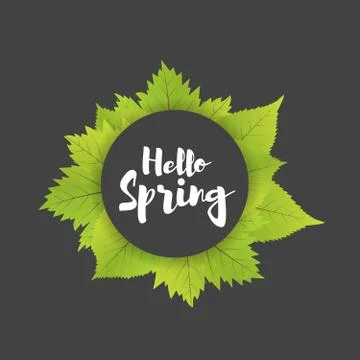 Hello spring. Lettering with hand drawn letters. Label and banner template .. Stock Illustration