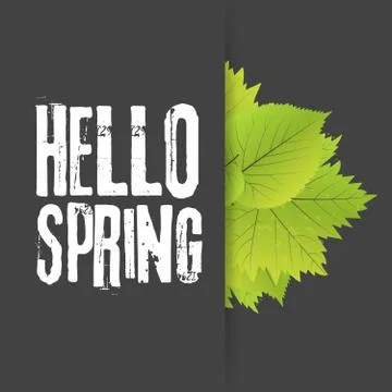Hello spring. Lettering with hand drawn letters. Label and banner template .. 库存插图