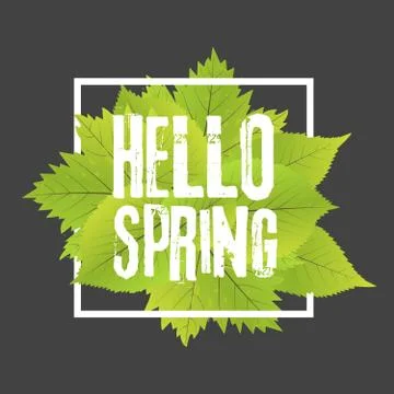 Hello spring. Lettering with hand drawn letters. Label and banner template .. 스톡 일러스트