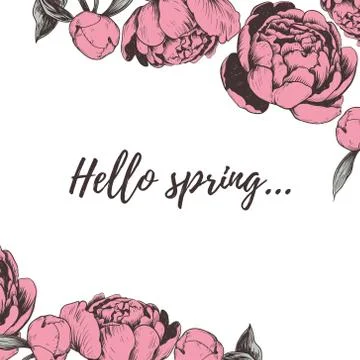 Hello spring lettering Peony vector illustration. Stock Illustration