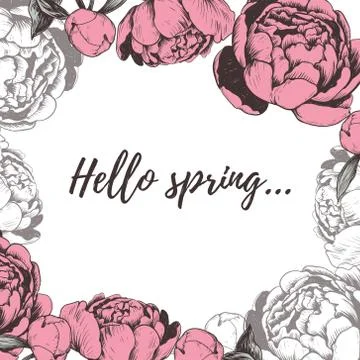 Hello spring lettering Peony vector illustration. Stock Illustration