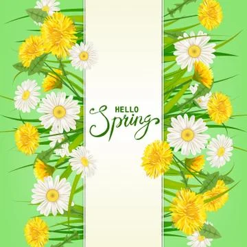 Hello Spring lettering template background with flowers dandelions and daisies Stock Illustration